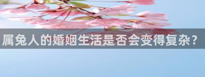 彩客网股份：属兔人的婚姻生活是否会变得复杂？