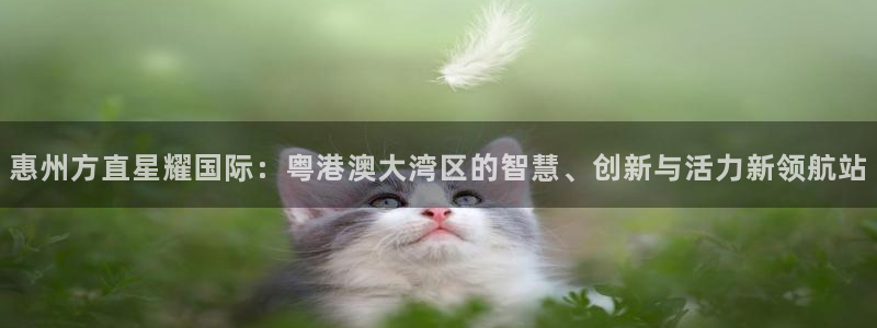 彩客网平台：惠州方直星耀国际：粤港澳大湾区的智慧、创新与活力新领航站