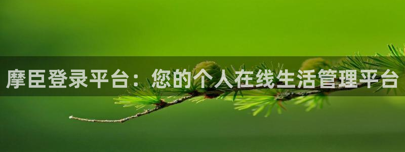 彩客网能源：摩臣登录平台：您的个人在线生活管理平台