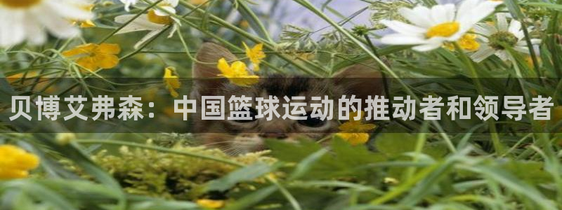 彩客网凯捷开号链接：贝博艾弗森：中国篮球运动的推动者和领导者