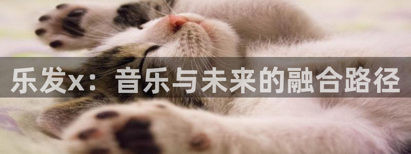 彩客网体育注册登录入口：乐发x：音乐与未来的融合路径