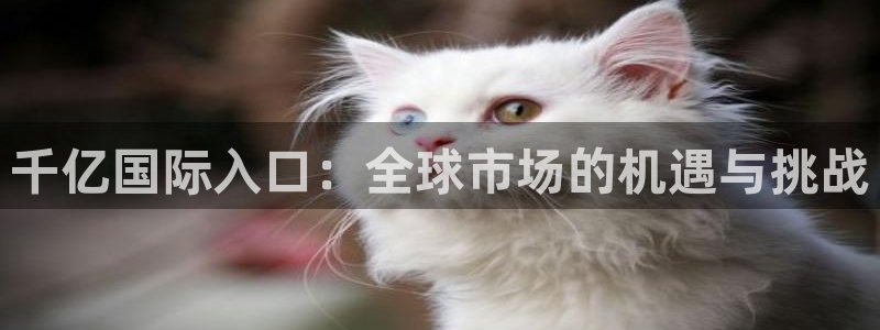 彩客网登录注册：千亿国际入口：全球市场的机遇与挑战