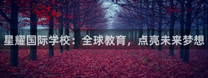 彩客网体育用品：星耀国际学校：全球教育，点亮未来梦想