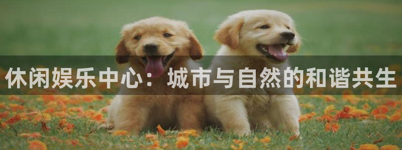 www.彩客网体育.com：休闲娱乐中心：城市与自然的和谐共生