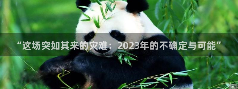 彩客网平台招商：“这场突如其来的灾难：2023年的不确定与可能”