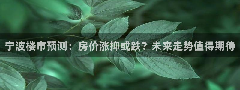 彩客网体育用品：宁波楼市预测：房价涨抑或跌？未来走势值得期待