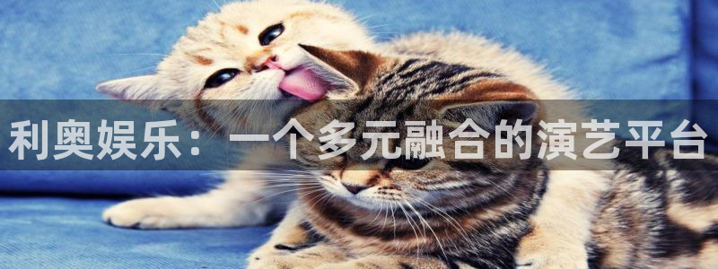 彩客网体育官网注册：利奥娱乐：一个多元融合的演艺平台
