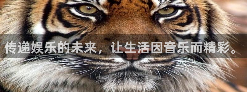 彩客网体育4：传递娱乐的未来，让生活因音乐而精彩。