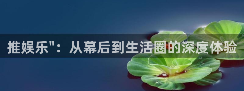 彩客网体育平台总代理：推娱乐\
