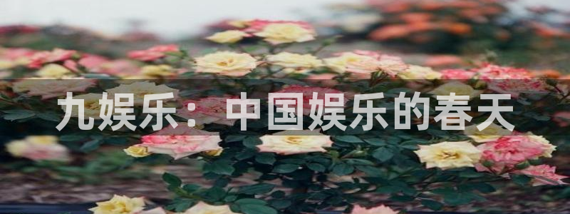 彩客网体育免费注册入口：九娱乐：中国娱乐的春天