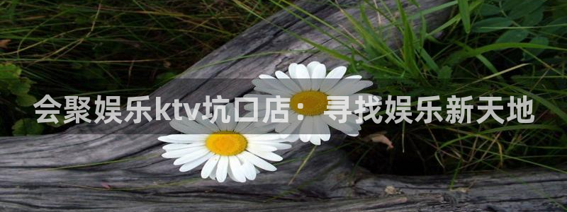 彩客网体育注册平台：会聚娱乐ktv坑口店：寻找娱乐新天地