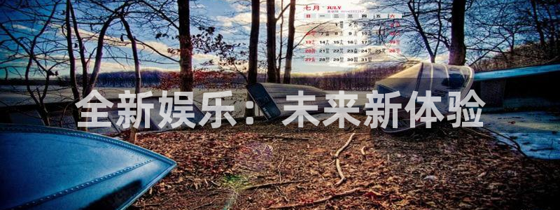 彩客网4登录：全新娱乐：未来新体验