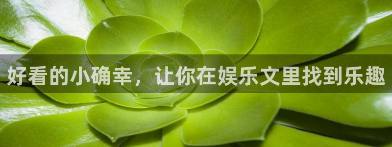彩客网3官网登录：好看的小确幸，让你在娱乐文里找到乐趣