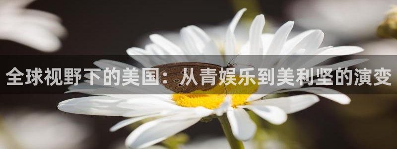 彩客网凯捷平台：全球视野下的美国：从青娱乐到美利坚的演变