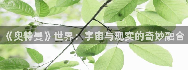 彩客网2注册：《奥特曼》世界：宇宙与现实的奇妙融合