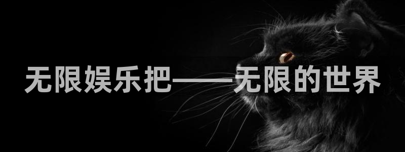彩客网主管：无限娱乐把——无限的世界