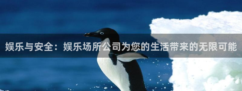 彩客网平台主管：娱乐与安全：娱乐场所公司为您的生活带来的无限可能