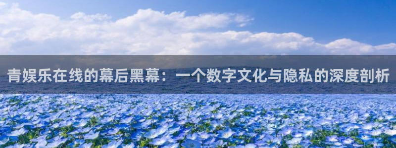 彩客网f凯捷注册：青娱乐在线的幕后黑幕：一个数字文化与隐私的深度剖析