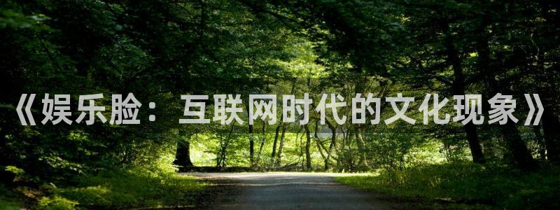 彩客网2平台：《娱乐脸：互联网时代的文化现象》