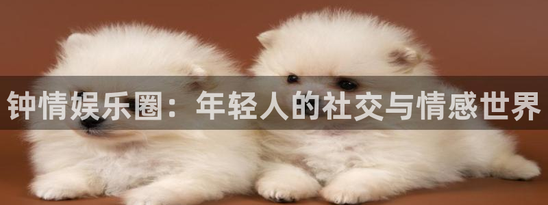 彩客网能源：钟情娱乐圈：年轻人的社交与情感世界