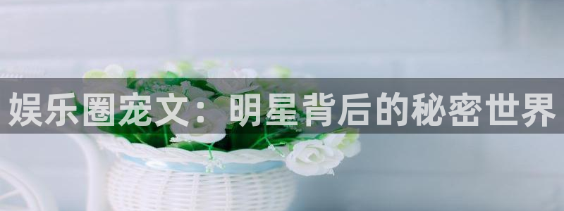 彩客网4注册：娱乐圈宠文：明星背后的秘密世界
