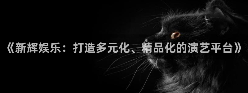上海彩客网汽车电子有限公司：《新辉娱乐：打造多元化、精品化的演艺平台》