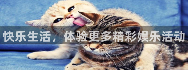 彩客网3注册：快乐生活，体验更多精彩娱乐活动