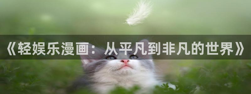 彩客网体育在线注册：《轻娱乐漫画：从平凡到非凡的世界》