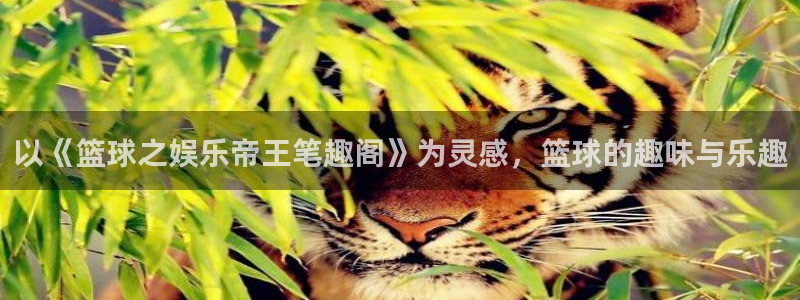 彩客网体育凯捷平台招商：以《篮球之娱乐帝王笔趣阁》为灵感，篮球的趣味与乐趣