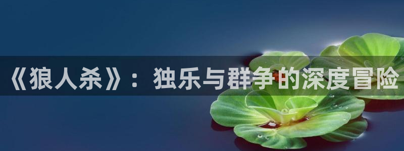上海彩客网汽车电子有限公司