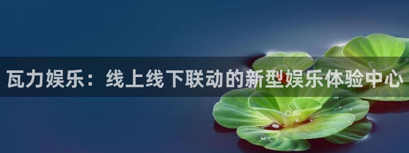 彩客网体育官网入口登录：瓦力娱乐：线上线下联动的新型娱乐体验中心