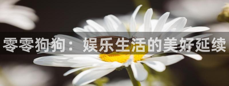 www.彩客网体育.com：零零狗狗：娱乐生活的美好延续